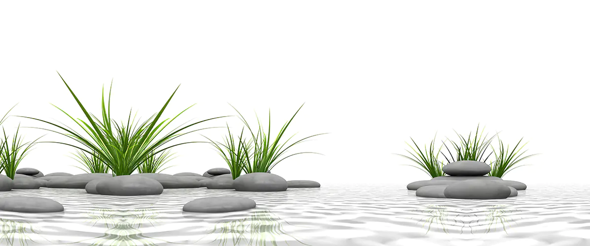 13566940a-6000x2500mm