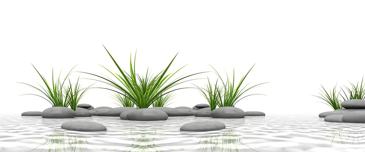 13566940b-6000x2500mm