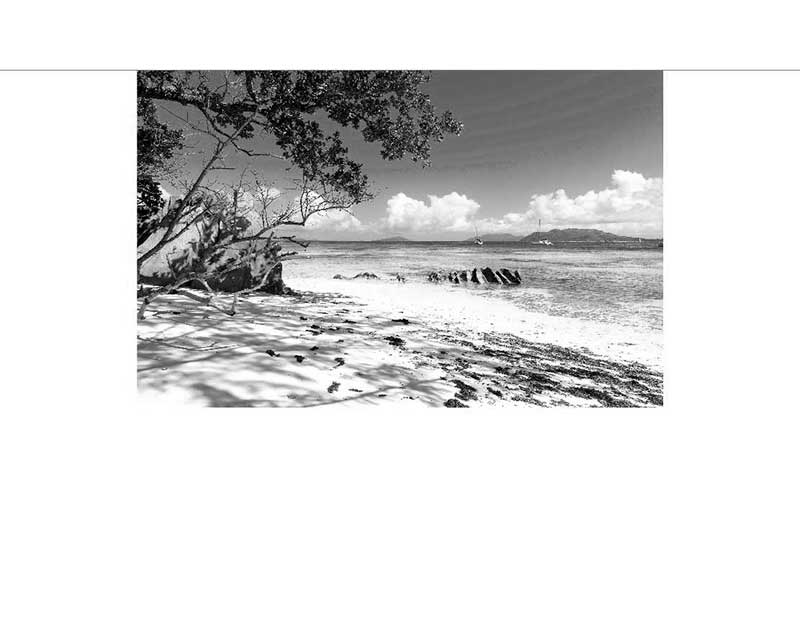 Schwarz-weiß Fotografie eines idyllischen Strandes mit Bäumen und Segelbooten im Hintergrund Schwarz-weiß Bild eines Strandes mit Bäumen, Meer und Segelbooten in der Ferne