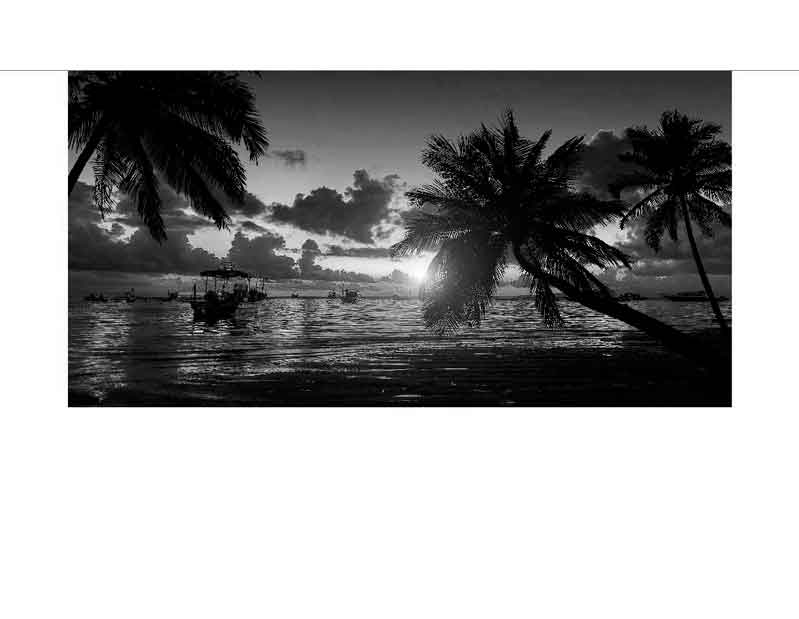 Schwarz-Weiß-Bild von Palmen vor einem Sonnenuntergang über dem Meer