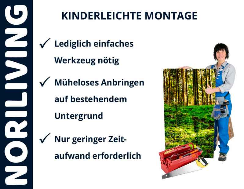 Einfache Montage von Noriliving-Produkten: Nur einfaches Werkzeug erforderlich Promotionsbild für Noriliving mit einfacher Montageanleitung und Werkzeugtasche