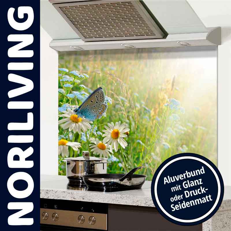 Moderne Küchenrückwand mit Blumenwiese und Schmetterling in Aluverbund mit Glanz oder Druck-Seidenmatt von Noriliving