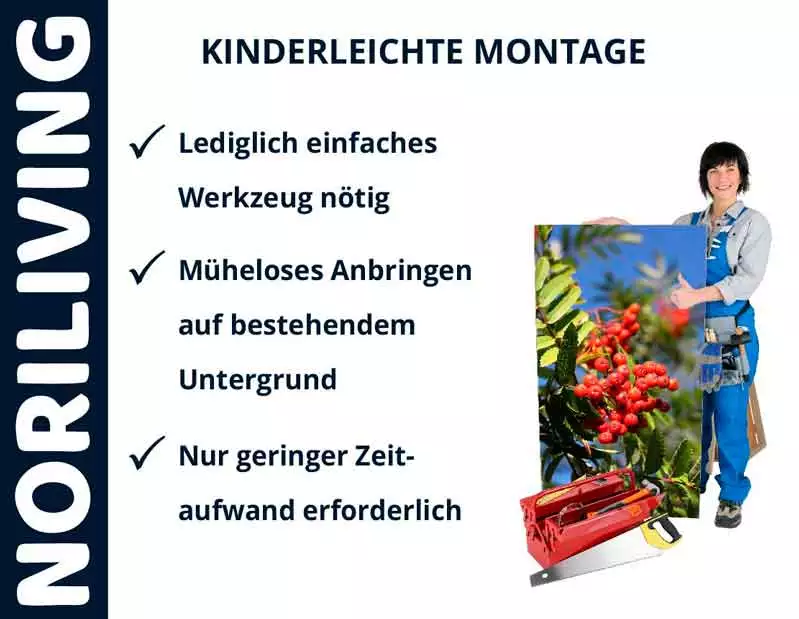 Werbung für einfache Montage mit wenigen Werkzeugen von Noriliving, abgebildet mit Person und Bild.