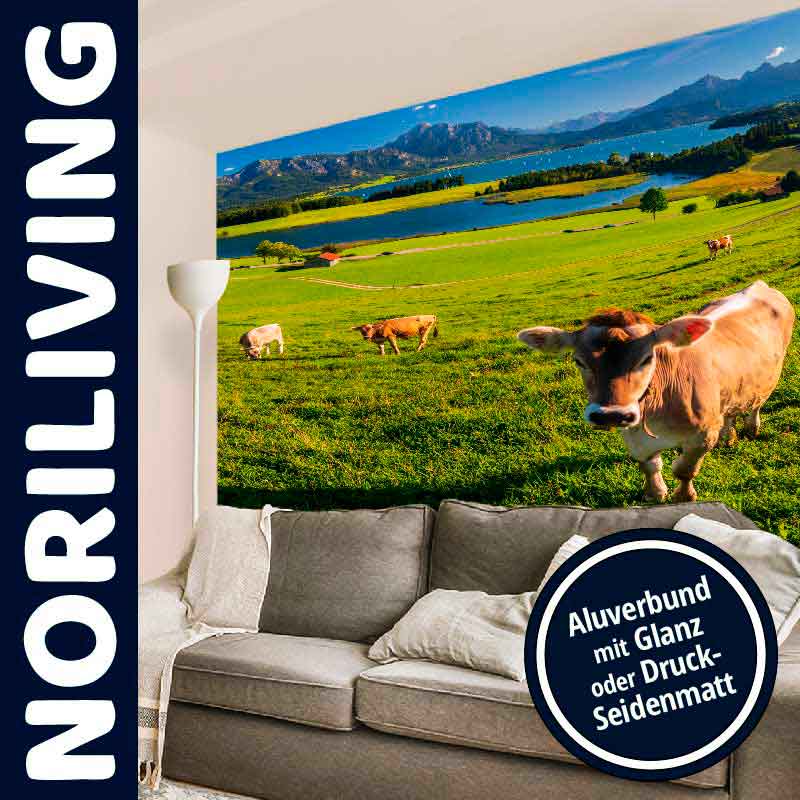 Fototapete von NORILIVING mit Kühen auf einer Wiese vor Bergen und See im Wohnzimmer
