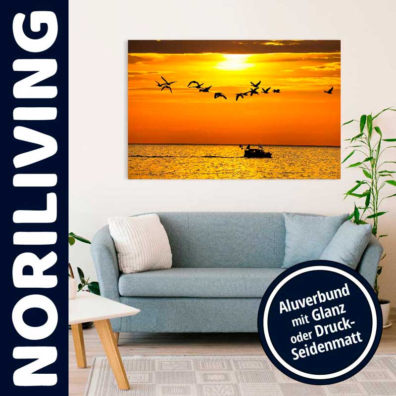 Sonnenuntergang über dem Meer mit fliegenden Vögeln, Wandbild auf Alubond, dekoriert in einem modernen Wohnzimmer