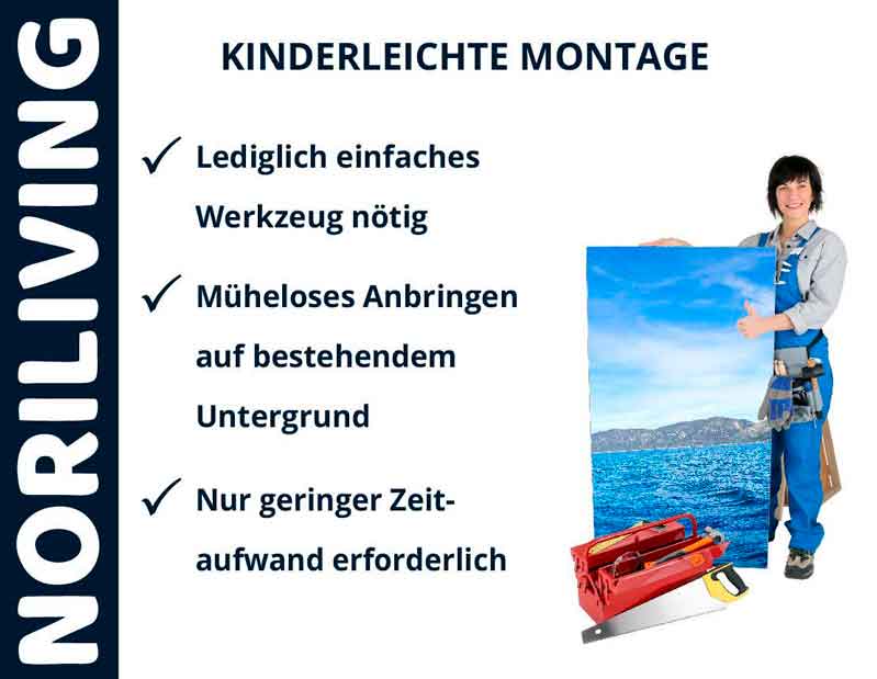 Poster mit einfacher Montageanleitung, Frau mit Werkzeug und Landschaftsbild
