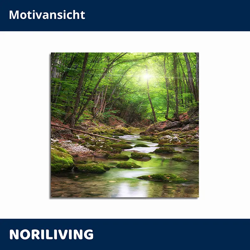 Grüner Waldbach mit Sonnenlicht und moosigen Steinen