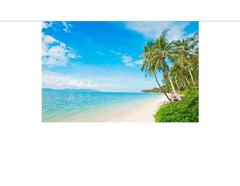Weißer Sandstrand mit Palmen, türkisblaues Meer und klarer Himmel