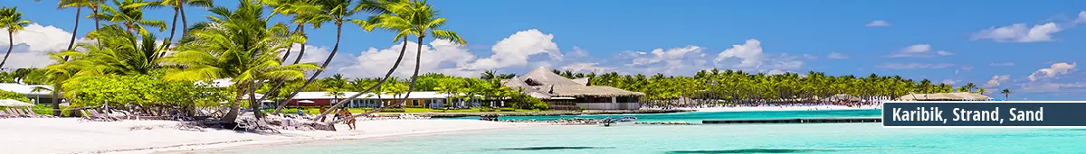 Idyllischer Strand in der Karibik mit Palmen, weißem Sand und klarem blauem Wasser
