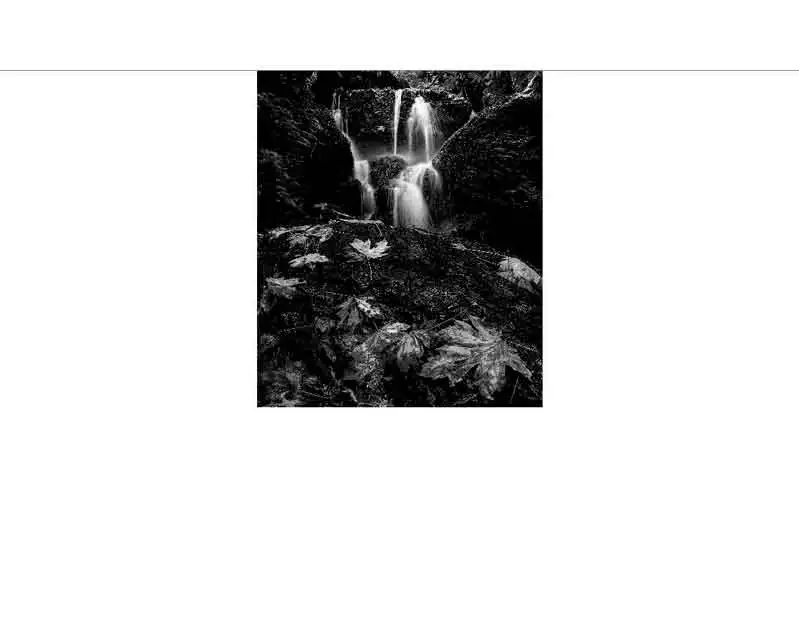 Ein Wasserfall in einem Wald, kombiniert mit herbstlichem Laub, in schwarz-weiß fotografiert