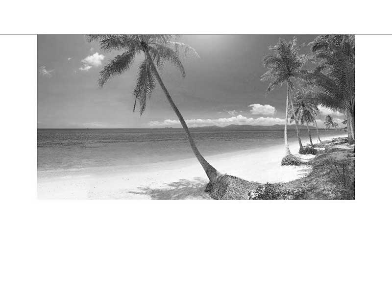 Ein ruhiger Strand mit Palmen und sanften Wellen unter bewölktem Himmel