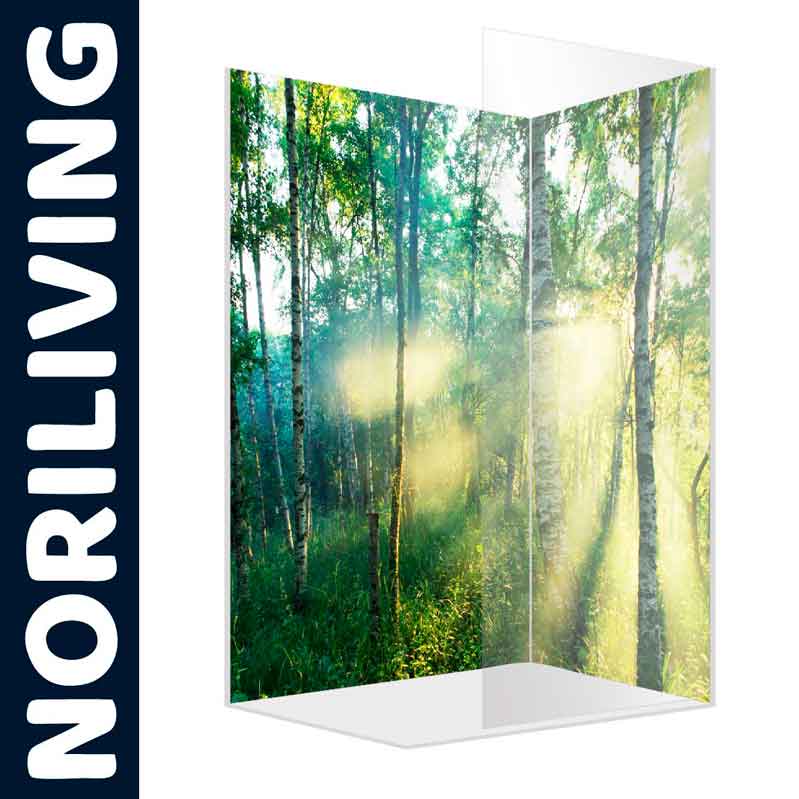 Noriliving Duschwand - Waldmotiv mit Sonnenstrahlen Transparentes Duschpaneel von Noriliving mit Waldmotiv und Sonnenschein