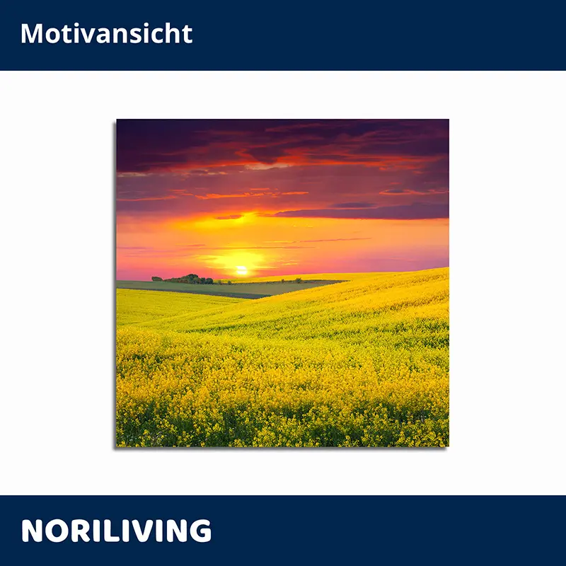 Wandbild Sonnenuntergang über gelbem Rapsfeld