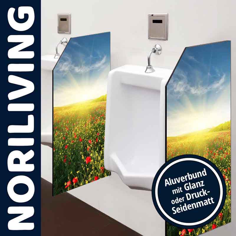 Urinal mit dekorativer Trennwand aus Aluverbund und Landschaftsmotiv