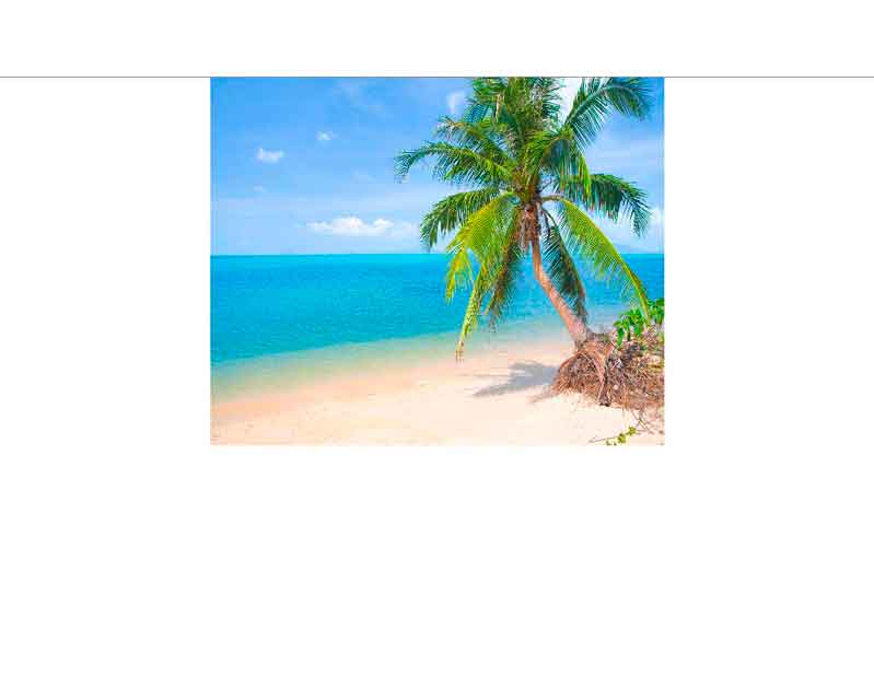 Ein ruhiger Sandstrand mit einer Palme am Rand und dem türkisblauen Meer im Hintergrund bei klarem Himmel