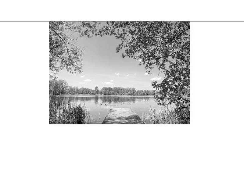 Idyllischer See mit Steg und umgebender Natur Schwarz-Weiß-Foto eines Sees mit einem Steg, umgeben von Bäumen und Schilf im Vordergrund.