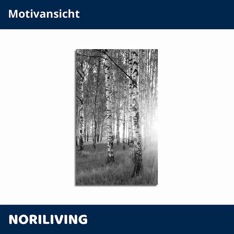 Schwarzweiß Waldmotiv mit Birken auf Leinwand