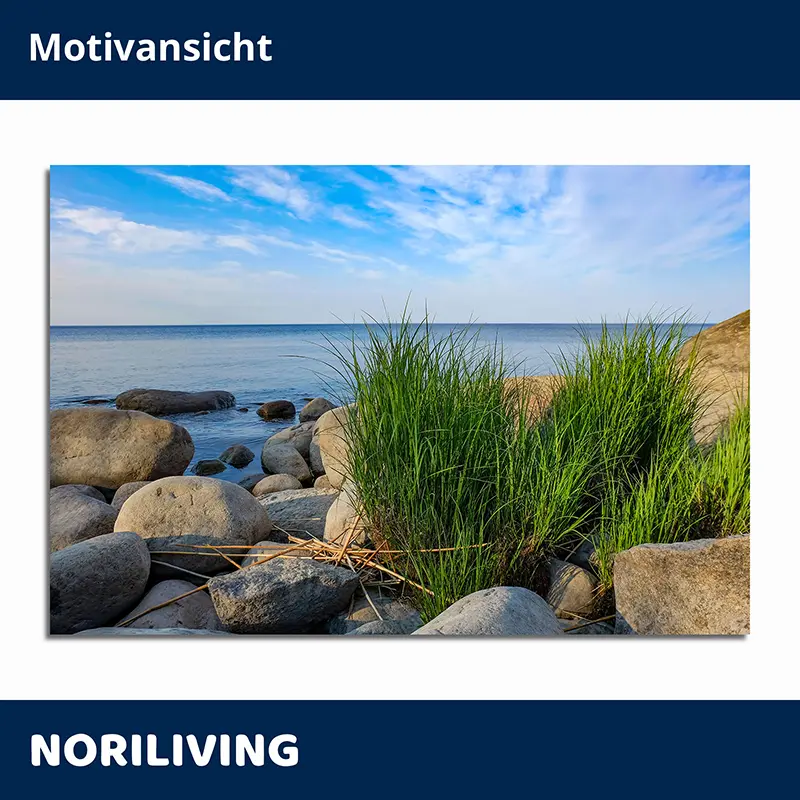 Küstenlandschaft mit Felsen, Gras und ruhiger See