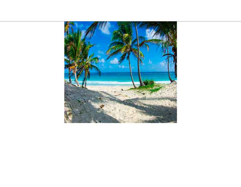 Ein sandiger Strandweg führt zu einem tropischen Strand mit Palmen und türkisfarbenem Meer unter einem klaren blauen Himmel.