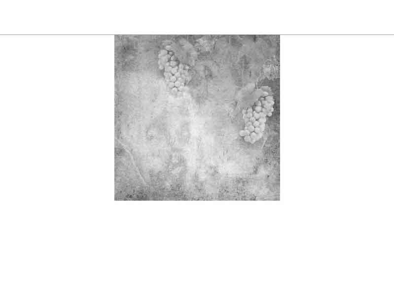 Zwei Trauben auf strukturiertem, grauem Hintergrund