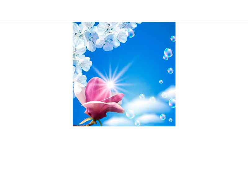 Ein rosafarbene Rose mit weißen Blüten vor einem blauen Himmel und Seifenblasen