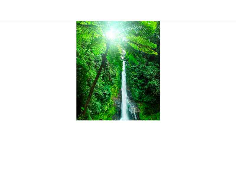 Ein hoher Wasserfall fließt durch dichten, grünen Dschungel mit Sonnenlicht, das durch die Blätter scheint.