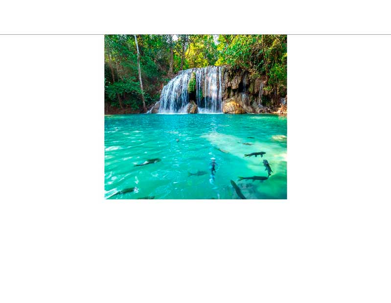 Ein Wasserfall in einem tropischen Wald, der in ein türkisfarbenes Becken fließt, umgeben von grüner Vegetation, mit Fischen im Vordergrund