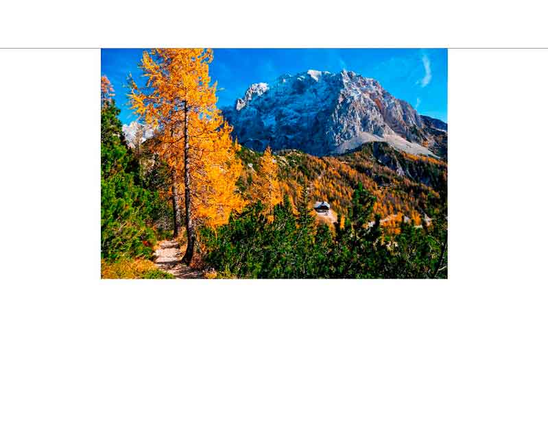 Herbstlicher Bergpfad mit bunten Lärchen und felsigem Gipfel Ein malerischer Bergpfad im Herbst, gesäumt von leuchtend orangefarbenen Lärchen, mit einem imposanten Berg im Hintergrund unter blauem Himmel.