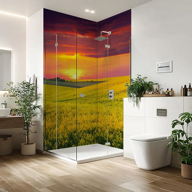 Glasdusche mit Rapsfeld-Sonnenuntergangs-Motiv