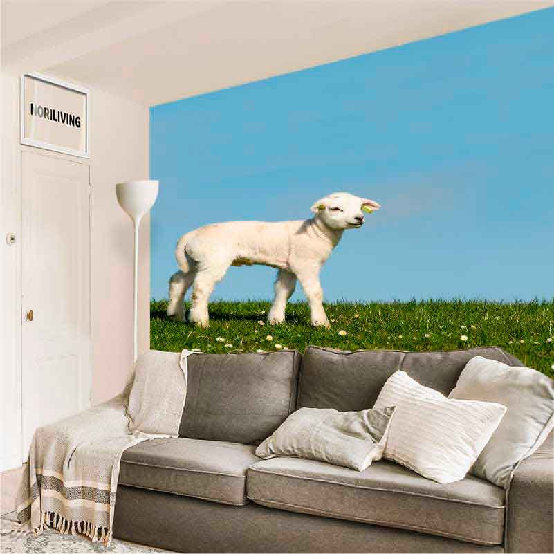 Helles Wohnzimmer mit Wanddesign Schäfchen auf Wiese Ein modernes Wohnzimmer mit einer Fototapete eines Lamms auf einer grünen Wiese
