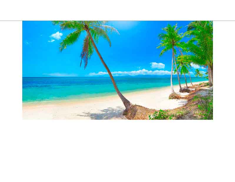 Tropischer Strand mit Palmen und kristallklarem Wasser Malerischer Küstenabschnitt mit Palmen am weißen Sandstrand und türkisblauem Meer