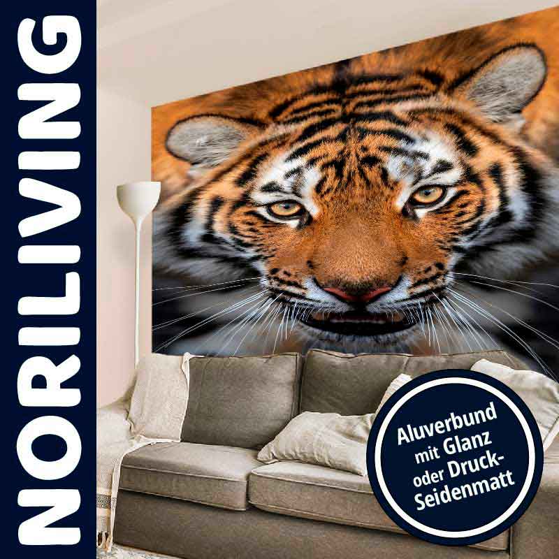 Tigertapete im Wohnzimmer - Alubund mit Glanz oder Druck-Seidenmatt Wohnzimmer mit beeindruckender Tigertapete, erhältlich in Alubund mit Glanz oder Druck-Seidenmatt