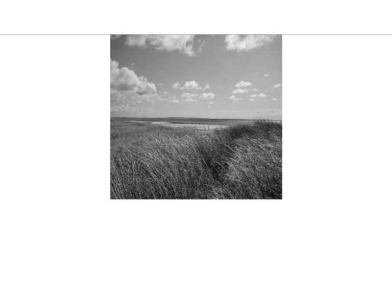 Weite Graslandschaft unter bewölktem Himmel in Schwarz-Weiß