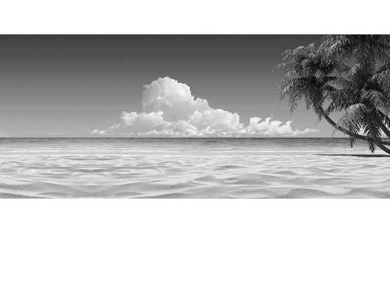 Schwarz-Weiß-Foto eines einsamen Strandes mit Palmen und Wolken Strandidylle in Schwarz-Weiß mit Palmen und ruhiger See