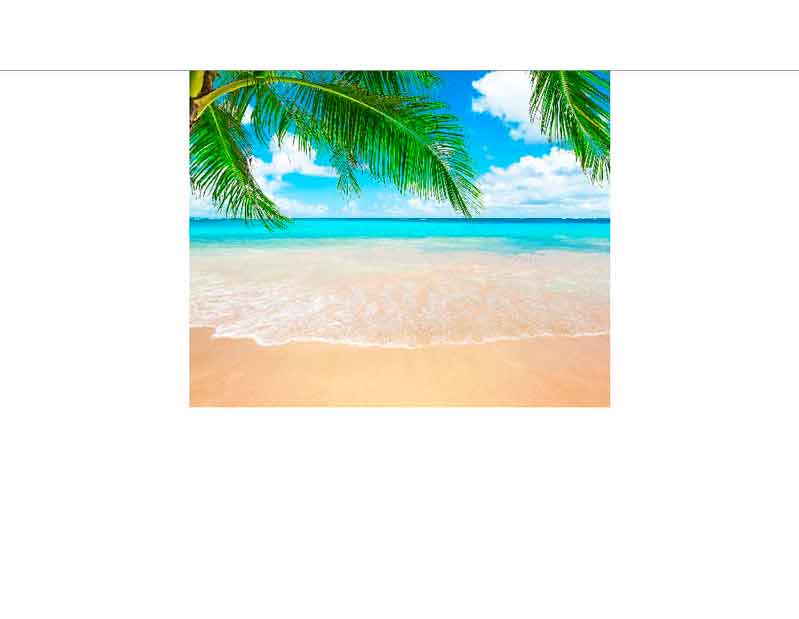 Ein ruhiger, tropischer Strand mit weißem Sand und kristallklarem Wasser, umgeben von Palmen und blauem Himmel.