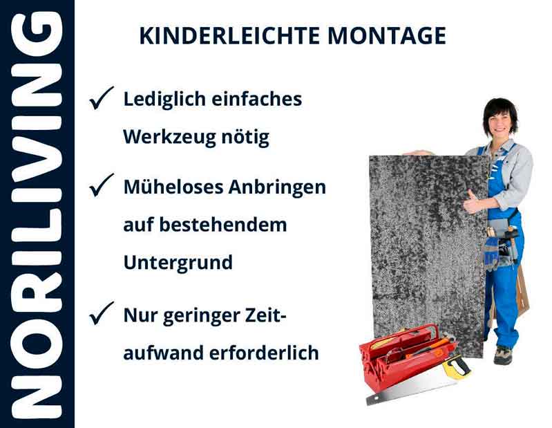 Person in Arbeitskleidung mit Noriliving-Werkzeug und Tafel, die einfache Montage erklärt: nur einfache Werkzeuge nötig, müheloses Anbringen, geringer Zeitaufwand