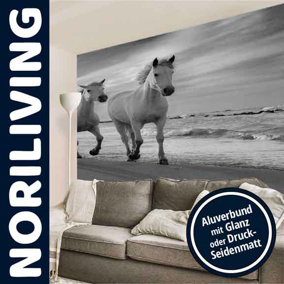 Wandbild mit Pferden am Strand, Aluverbund mit Glanz oder Druck-Seidenmatt Wohnzimmer mit Wandbild von zwei Pferden am Strand, dekoriert in Aluverbund-Ausführung