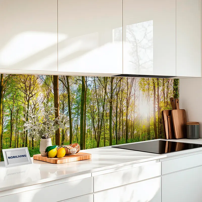 Fliesenspiegel Alu Panoramabild Wald im Frühling 404