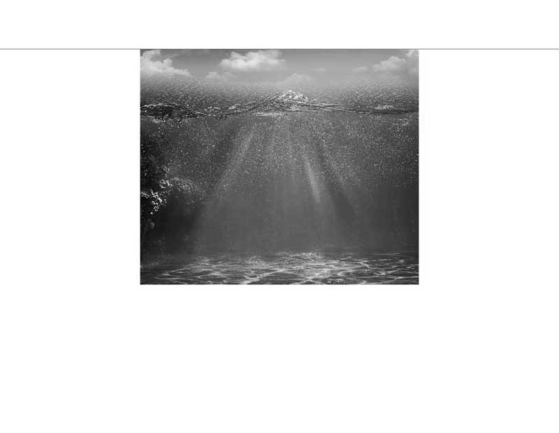 Schwarz-Weiß-Bild von Unterwasserlandschaft mit Lichtstrahlen, die durch die Wasseroberfläche dringen