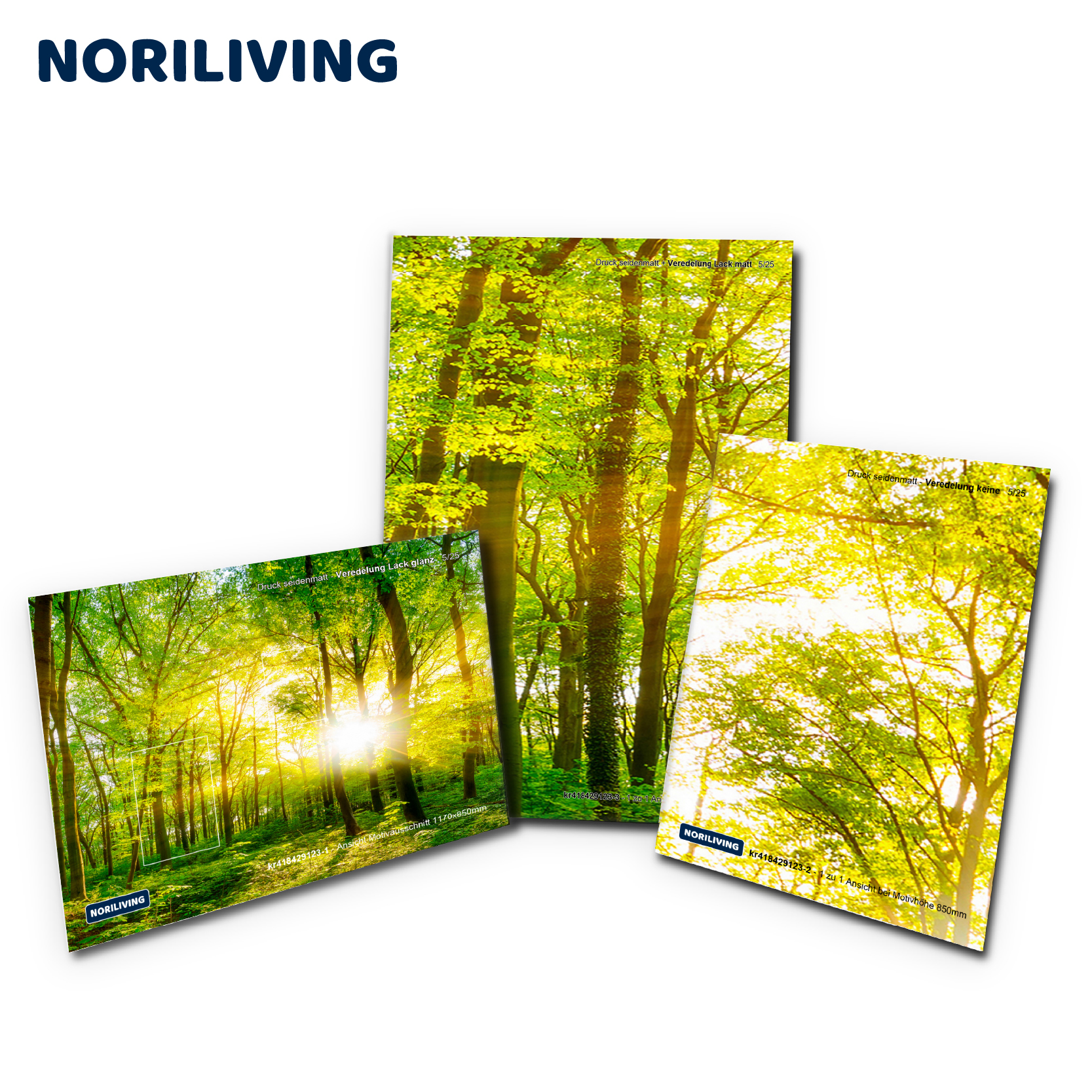 Drei Leinwandbilder mit Motiven von sonnendurchfluteten Waldbäumen, erhältlich bei Noriliving.