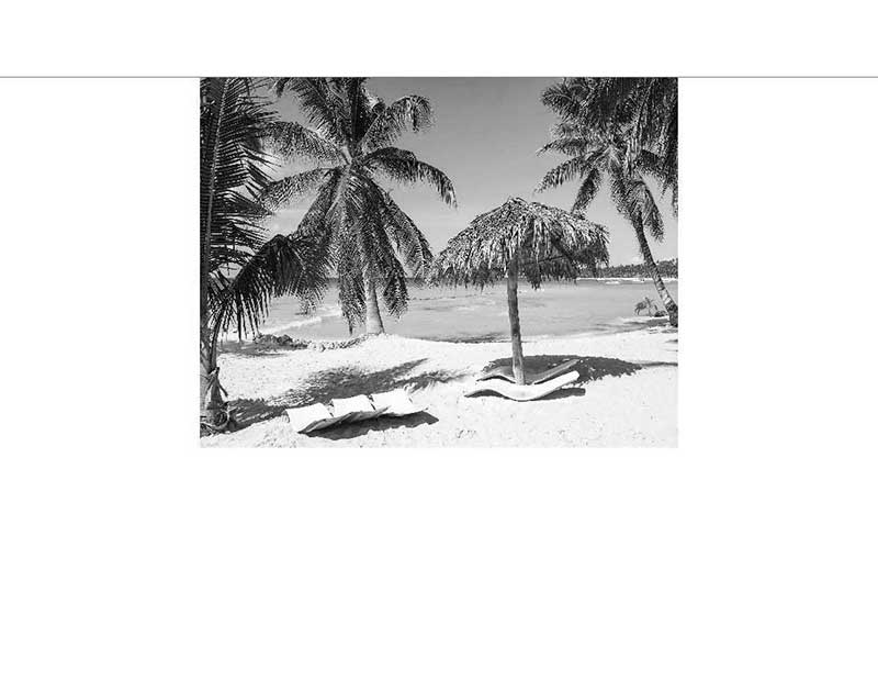 Schwarz-Weiß-Bild eines Strandes mit Palmen und zwei Liegestühlen im Sand