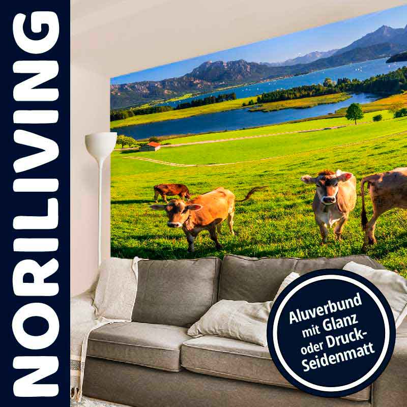 Wandbilder von Noriliving: Landschaft mit Kühen und Bergpanorama Sofaecke mit Noriliving-Wandbild; Wiesenlandschaft mit Kühen und Bergen