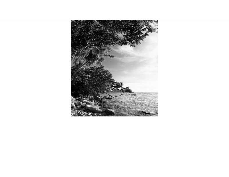 Schwarz-Weiß-Bild einer felsigen Küste mit Bäumen und Blick aufs Meer