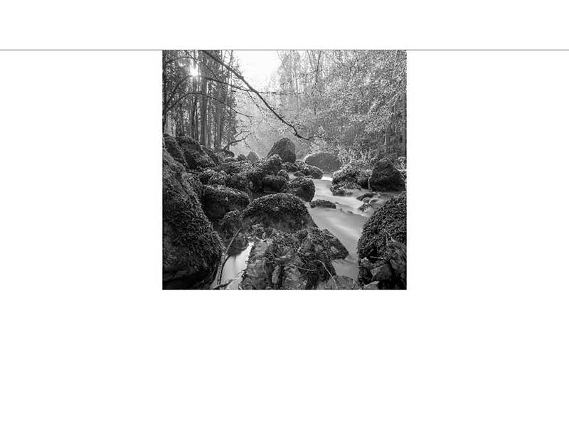 Ein ruhiger Fluss fließt durch einen Wald, umgeben von großen, moosbedeckten Felsen in einer Schwarzweiß-Aufnahme.