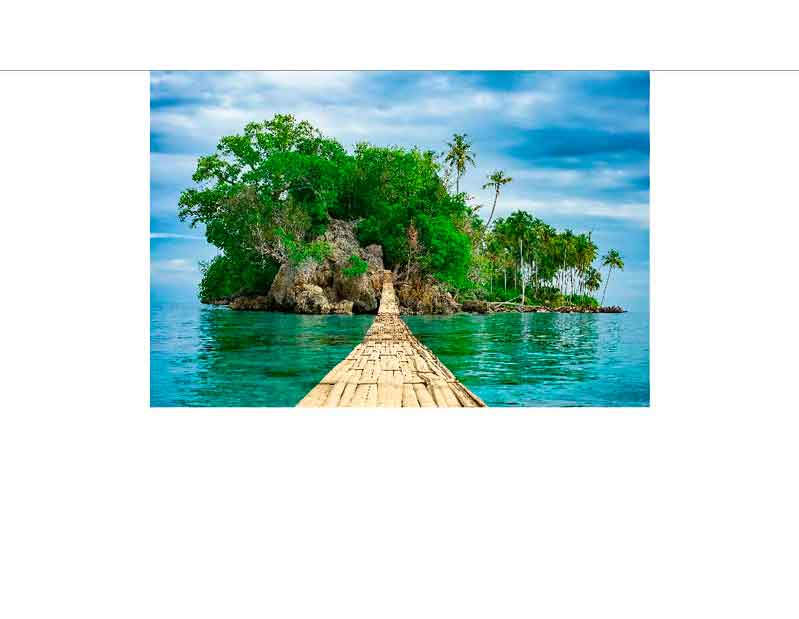 Eine kleine tropische Insel mit üppigen grünen Bäumen und Palmen, verbunden durch einen Holzsteg über türkisblaues Wasser.