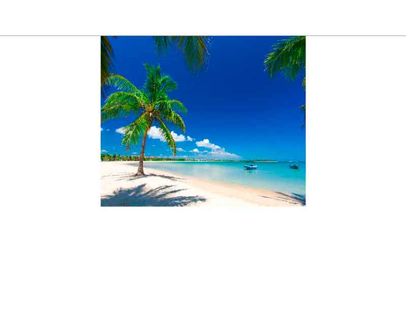 Ein tropischer Strand mit Palmen und glasklarem, türkisblauem Wasser unter strahlend blauem Himmel.