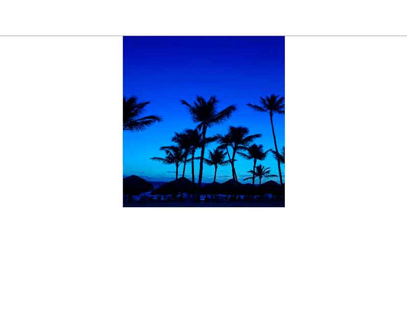 Palmen bei Sonnenuntergang am Strand Silhouette von Palmen im Abendlicht vor einem blauen Himmel am Strand