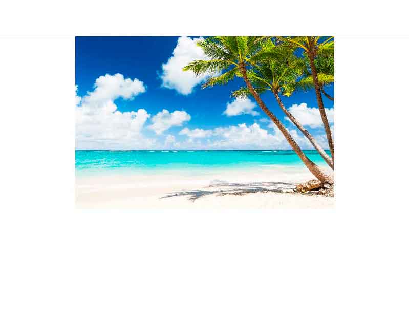 Postkarte einer tropischen Küstenlandschaft mit weißem Sandstrand, hohen Palmen und klarem blauen Wasser unter einem sonnigen Himmel