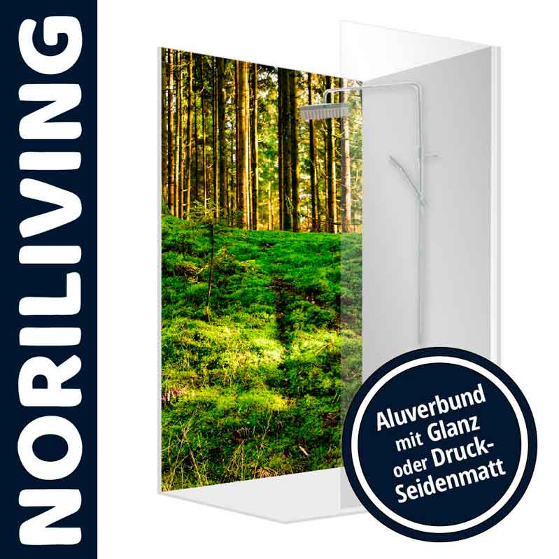NORILIVING Aluverbund-Duschwand mit Waldmotiv in Glanz oder Druck-Seidenmatt Duschwand von NORILIVING mit Waldmotiv, erhältlich in Glanz oder Druck-Seidenmatt Ausführung