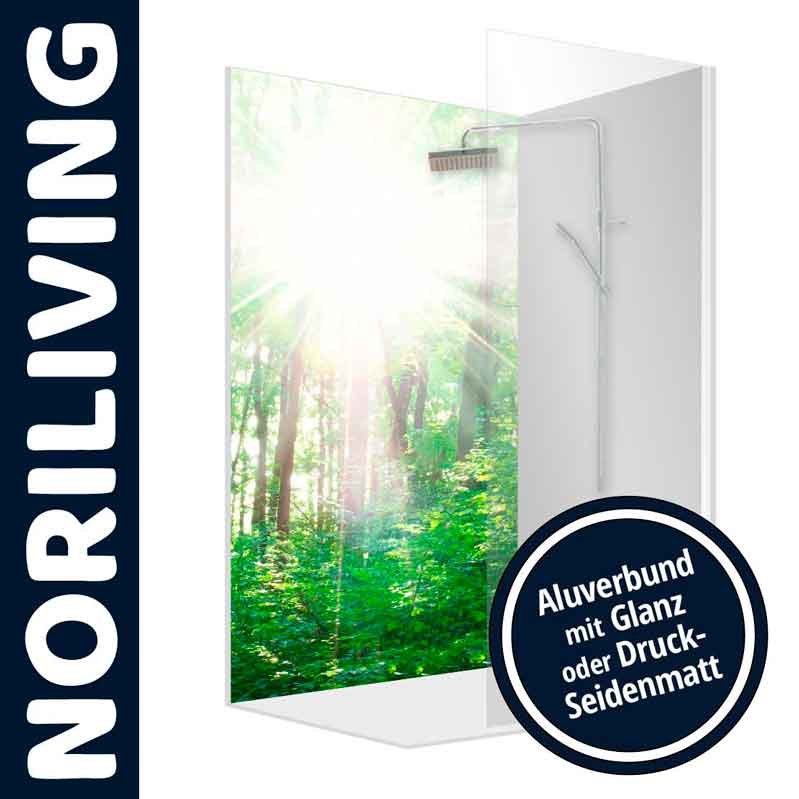 Duschtrennwand mit Naturmotiv und Sonnenstrahlen im Wald von Noriliving, aus Aluverbund mit Glanz oder Druck-Seidenmatt